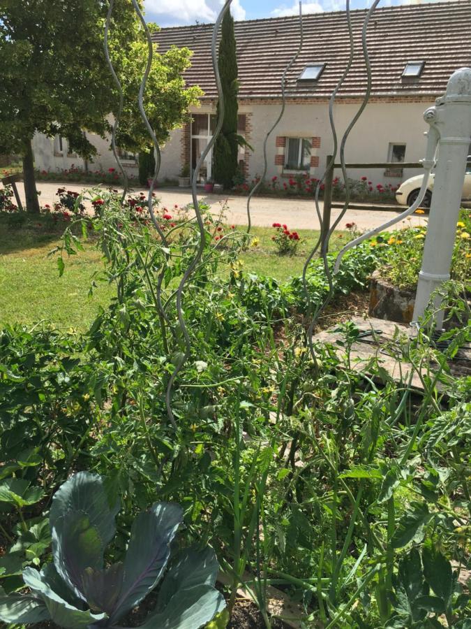 La Ferme De La Maugerie Bed & Breakfast Thoury Bagian luar foto