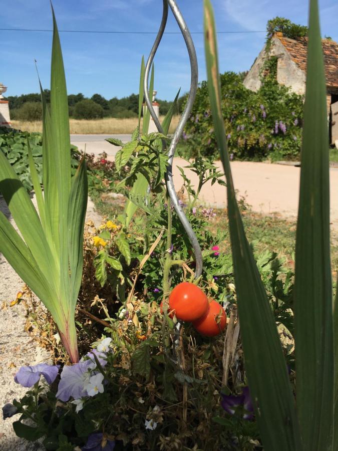 La Ferme De La Maugerie Bed & Breakfast Thoury Bagian luar foto